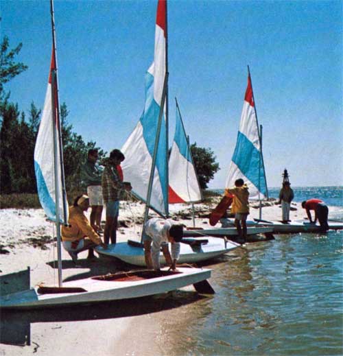 A Line of O'Day Swift Sailboats on Shoreline.