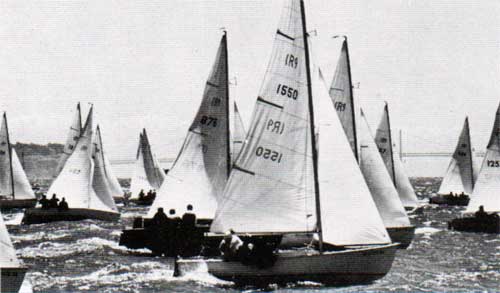 GGA Image ID # 23f02b3278 O'Day Fleet of Sailboats.