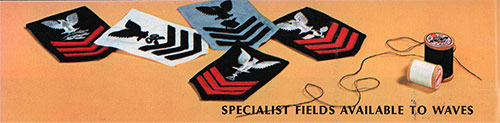 Specialist Fields Available to WAVES.