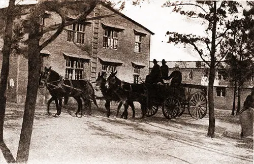 GGA Image ID # 18f5a788ae The Supply Team Once More We Have One of the Mule Teams