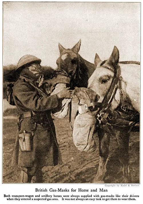GGA Image ID # 18cb1a9c89 British Gas Masks for Horse and Man.