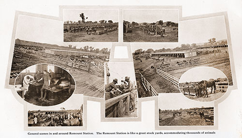 GGA Image ID # 1882c75bbf General Scenes in and around Remount Station.