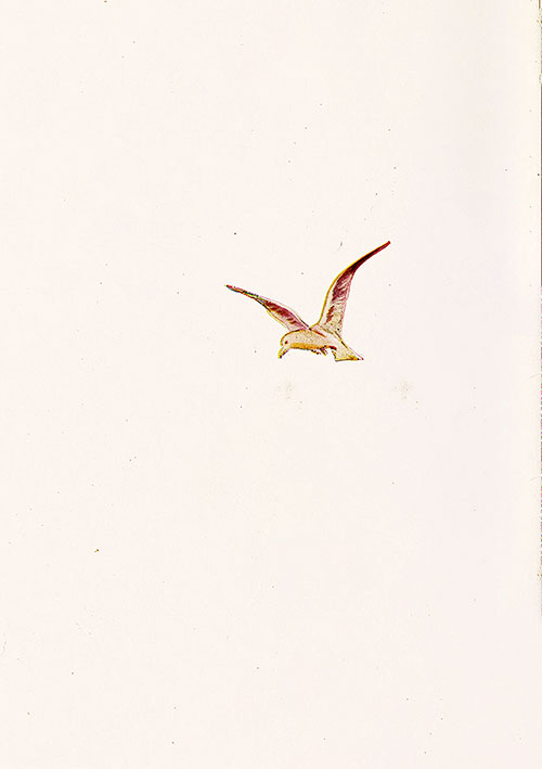 Back Cover, TSS Assyria Cabin Passenger List, 26 August 1922.