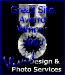 Vivid Design's Great Site Award
