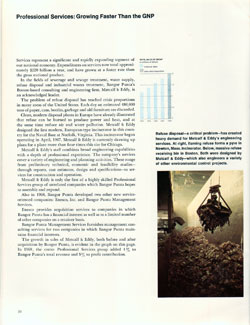 Professional Services: Growing Faster Than the GNP - 1968 Annual Report