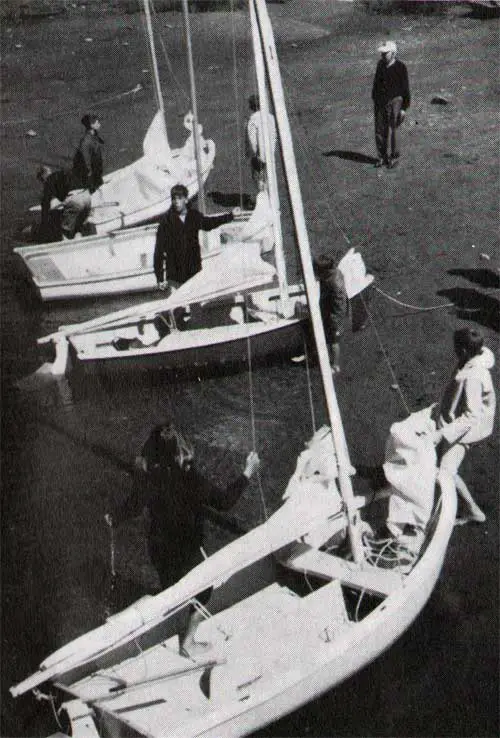 A Fleet of O'Day Sailboats on the Shore