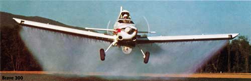 Piper Brave 300