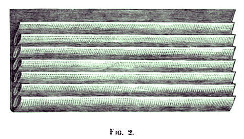 The Coronal Table Napkin - Fig 2