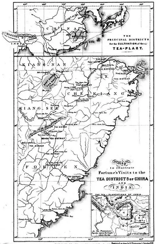 The Principal Districts for the Cultivation of the Tea Plant