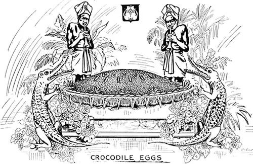 Crocodile Eggs