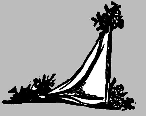 Figure 3: The Folded Cornucopia