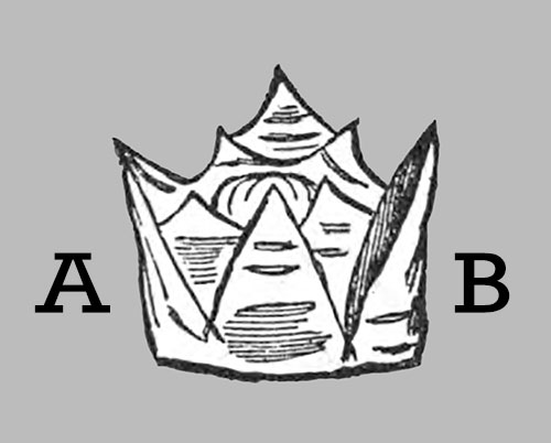 Figure 1: The Crown