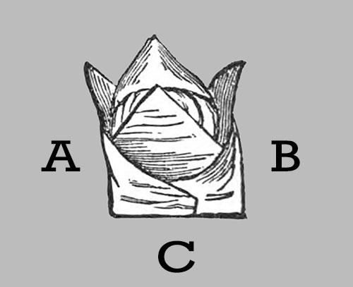 Figure 5: The Crown