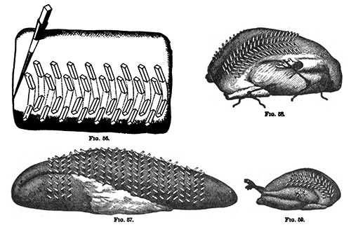 Larding Meat, Poultry and Game