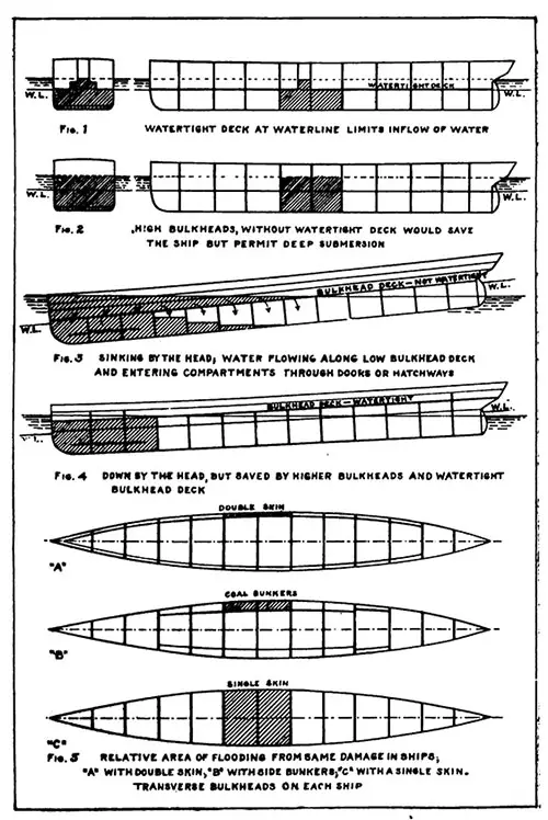 Diagram of Protective Value of the Bulkheads