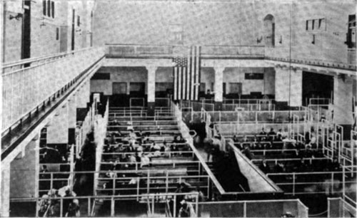 Immigrants Passing Through the Labyrinth at Ellis Island