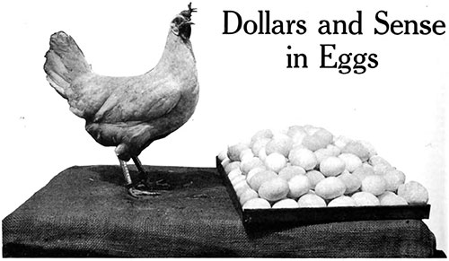 Dollars and Sense in Eggs
