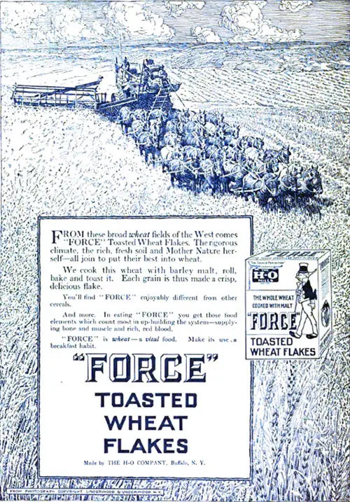 FORCE Toasted Wheat Flakes Advertisement, Housewives League Magazine, June 1913.