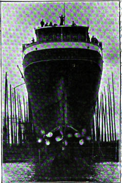 View of the Stern showing the Triple Scews of the Allan Line TSS Victorian
