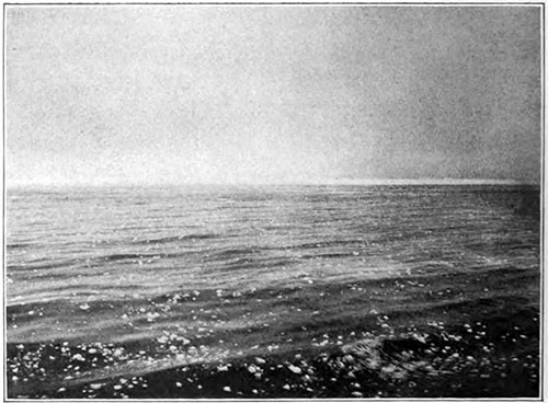 View from the Carpathia of the Ice Field near the Scene of the Disaster, Early in the Morning on 15 April 1912.