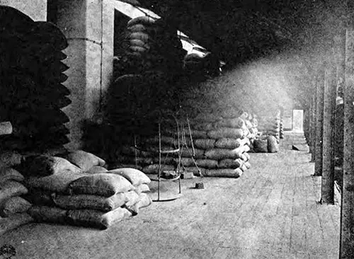 Green Coffee Stored in Warehouse in France