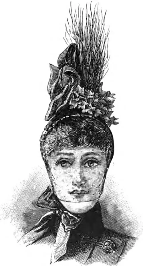 Black Horsehair Bonnet