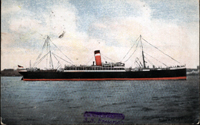 Vintage Postcard: Allan Line SS Tunisian (1906)