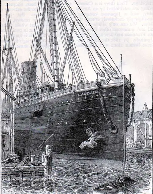 Illustration of the Bow of an American Steamer 
