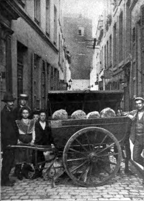 Photo 05: A Bread Cart In A Street Of Quaint Brussels