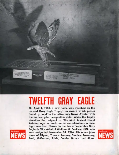 Twelfth Gray Eagle