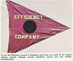 Flag Efficiency Company Award
