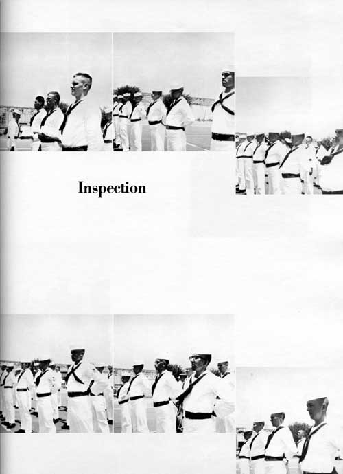 Inspection