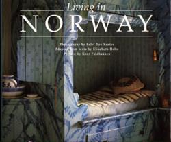Living in Norway - Sølvi Dos Santos - 2080135457