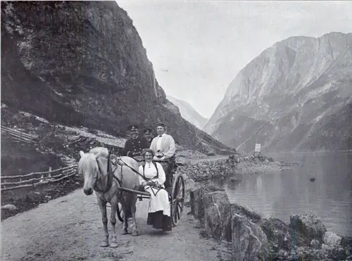 Photo 115: View of road on Nærøyfjorden showing Fjording or Norwegian Fjord Horse pulling a two-wheeled buggie known as the Stolkjaerre 