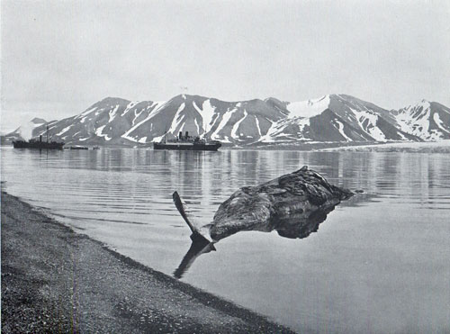 Photo 070: In Bellsund Fjord, Spitsbergen with view of two steamships in the background.