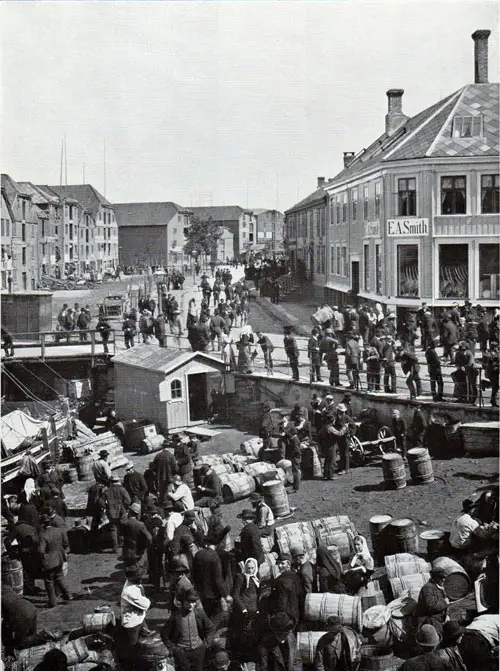 Photo 053: Fishmarket in Trondhjem at Munkegata, Ravnkloa by the Trondhjem Fjord