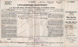 White Star Line Steamship Contract - Swedish Immigrant - 1902