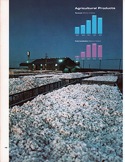 Agricultural Products Group Showing Graphic Inlay of Revenus and Profit Contributions for the Past Five Years (Fiscal Years 1972-1976).