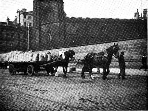 Two-Horse Tandem Hitch Transporting Goods from Docks to Warehouses.