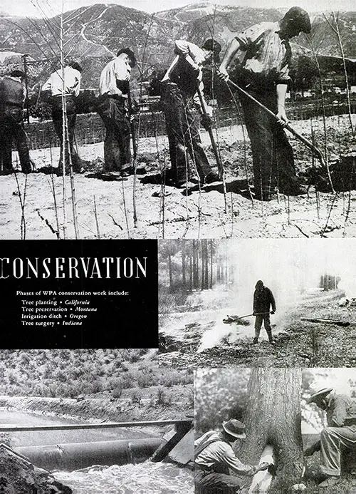 Phases of WPA Conservation Work