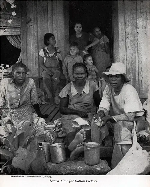 Lunch Time for Cotton Pickers.