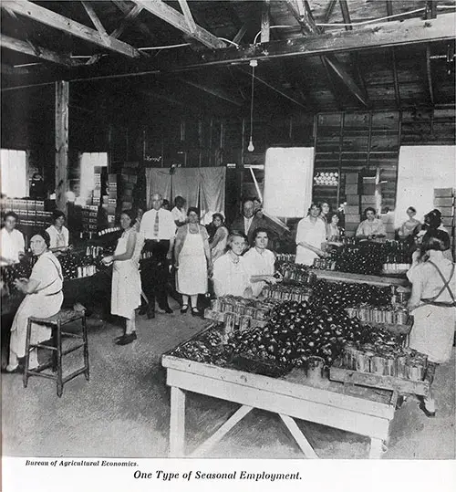 One Type of Seasonal Employment -- Workers at a Canning Facility.