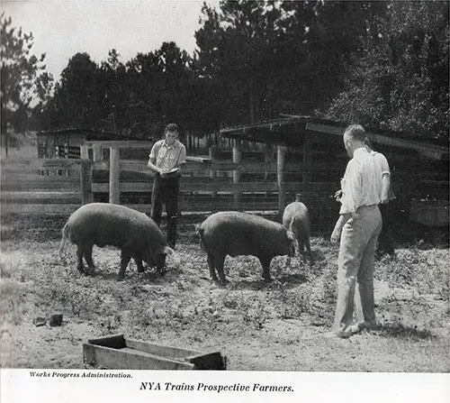 The NYA Trains Prospective Farmers. Photograph by the Works Progress Administration.