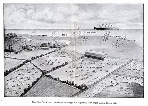 Livestock Needed to Supply the Aquitania with Meat, Game, Bacon, Etc.