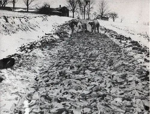 WPA Workmen Laying Stone Base for Town of Cuyler Road Which Will Have a Gravel Top and Adequate Shoulders.