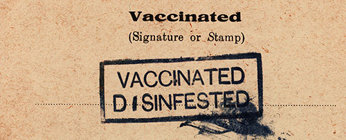 Closeup of the Back Side of the 1923 Inspection Card Showing the Vaccinated (Signature or Stamp).