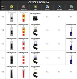 US Military Warrant Officers Insignia.