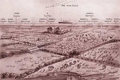 Some Idea of the Provisions Required for a Single Voyage of the Aquitania.