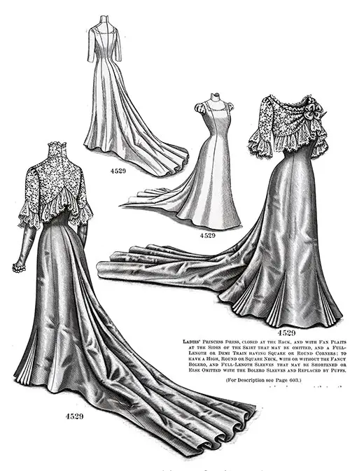 https://www.ggarchives.com/Images600/Periodicals/Fashion/TheDelineator/1900-11/603-LadiesPrincessDress-4529-500.jpg?ezimgfmt=ngcb1/notWebP