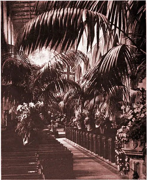 An Avenue of Palms, St. Margaret's, Westminster, as Decorated for a Recent Wedding. Lady's Realm, June 1902.